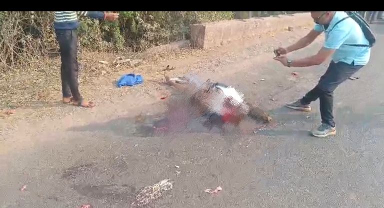 धमधा थाना क्षेत्र में बड़े पुलिया के पास बड़ा ट्रक हादसा,धमधा पुलिस टीम ने दी मनवाता की मिसाल