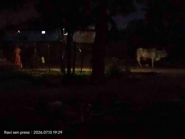 अंधेरे में डूबा आदर्श ग्राम बोडेगांव का मुख्य मार्ग, जनप्रतिनिधियों की चुप्पी पर उठे सवाल