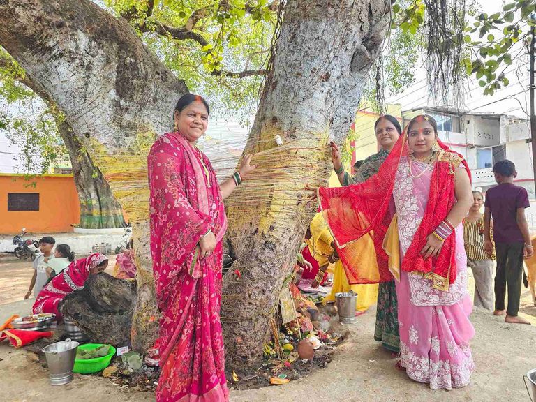 खैरागढ़. पति की लंबी उम्र और सुख-समृद्धि की कामना में वट वृक्षों के नीचे जुटीं महिलाएं, श्रद्धा-भक्ति से मनाया गया वट सावित्री व्रत
