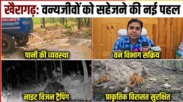 खैरागढ़. जिले के जंगलों में वन्यजीव संरक्षण की नई मुहिम, प्राकृतिक विरासत को सहेजने में जुटा वन विभाग