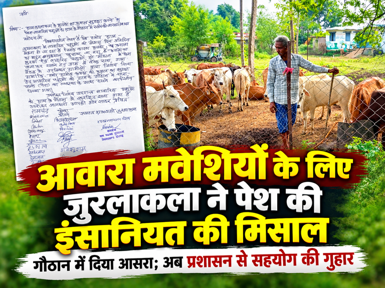 खैरागढ़. जुरलाकला ने पेश की मिसाल, आवारा मवेशियों को भगाने के बजाय दिया गौठान में आसरा; ग्रामीणों ने संभाली जिम्मेदारी, प्रशासन से मांगा साथ
