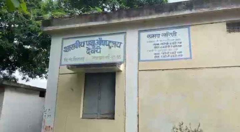 खैरागढ़. कलेक्टर तक पहुंची शिकायत तो बदला फैसला, देवरी की पशु चिकित्सा अधिकारी मूल पदस्थापना पर लौटीं
