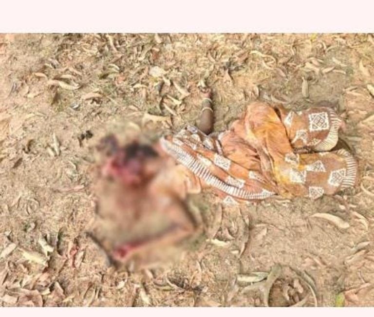 ब्रेकिंग न्यूज -आम बगीचे के पास महिला की हत्या, सिर कुचलकर फेंका गया शव